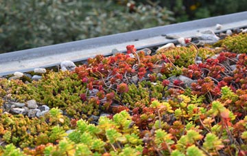 the cost of Thurvaston green roof installation
